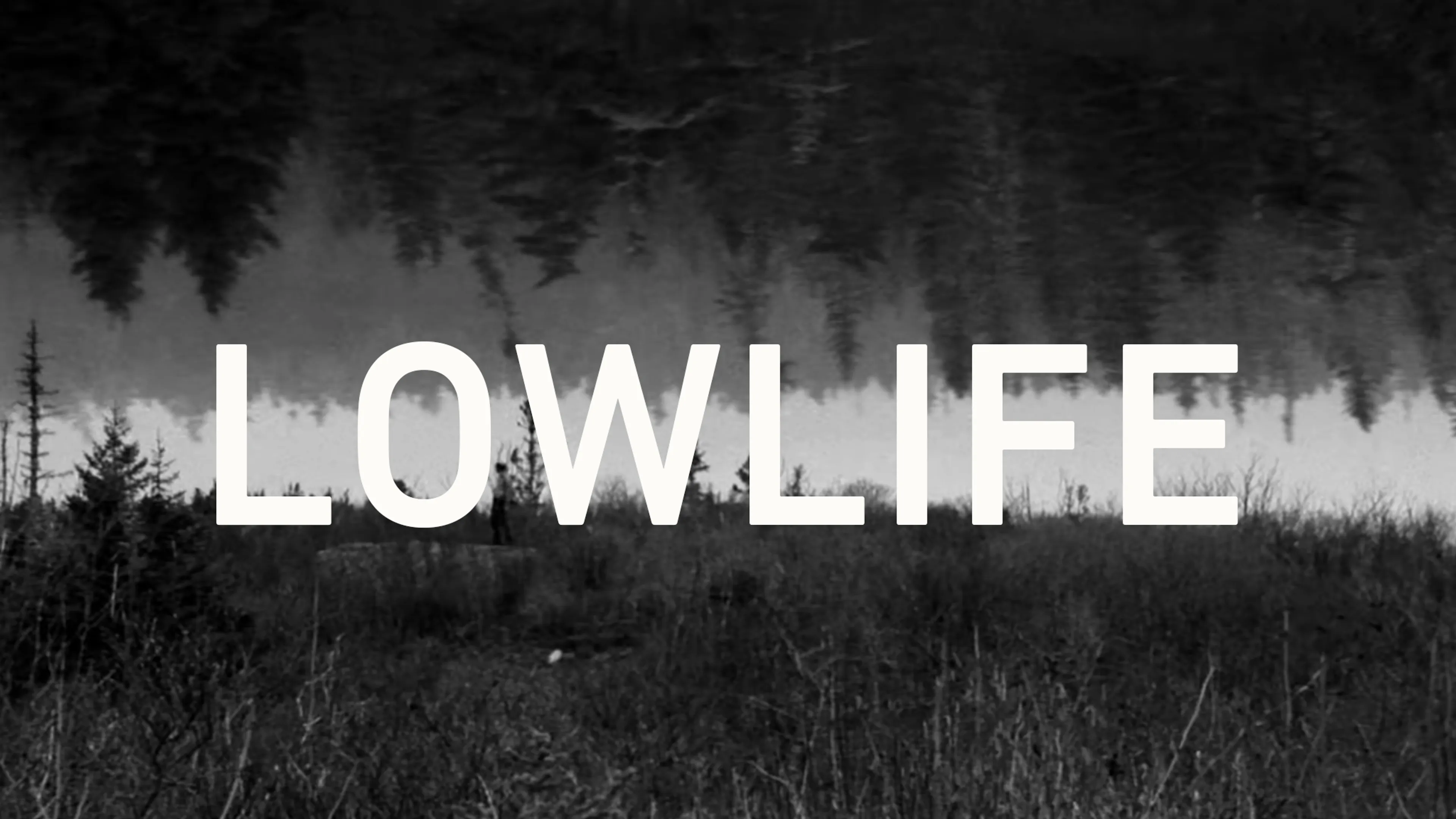 Lowlife poster